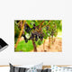 Grape Vines Wall Decal Design 2