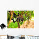 Grape Vines Wall Decal Design 2