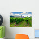 vineyard Wall Mural