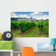 vineyard Wall Mural