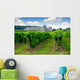 vineyard Wall Mural