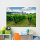 vineyard Wall Mural