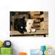 Two Scottish Terrier Puppies Leaning on Railing Wall Mural