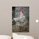 Cock Wall Mural