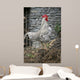 Cock Wall Mural