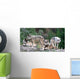 Timber Wolves Wall Mural