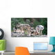 Timber Wolves Wall Mural