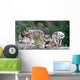 Timber Wolves Wall Mural
