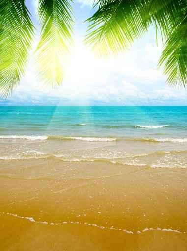 Sand and Ocean Wall Decal