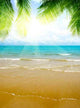 Sand and Ocean Wall Decal