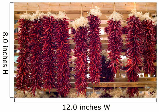Chili peppers hanging on Santa Fe marketplace, New Mexico Wall Mural
