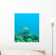 Coral Reef Scene Wall Decal