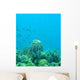 Coral Reef Scene Wall Decal