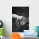 Baby's Hand Holding On To Adult Hand Wall Mural