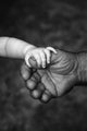 Baby's Hand Holding On To Adult Hand Wall Mural