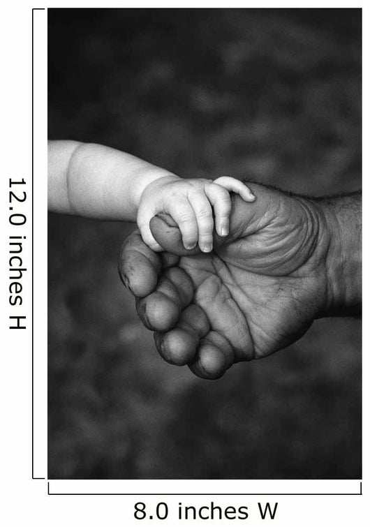 Baby's Hand Holding On To Adult Hand Wall Mural