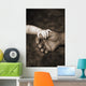 Baby's Hand Holding On To Adult Hand Wall Mural