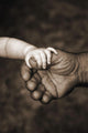 Baby's Hand Holding On To Adult Hand Wall Mural