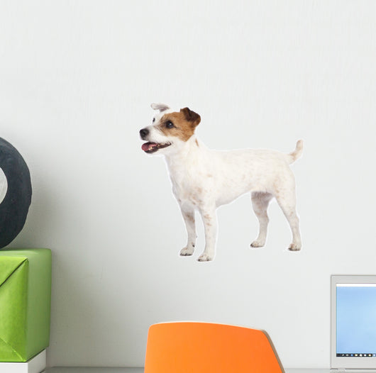Jack Russell Terrier Standing Wall Decal