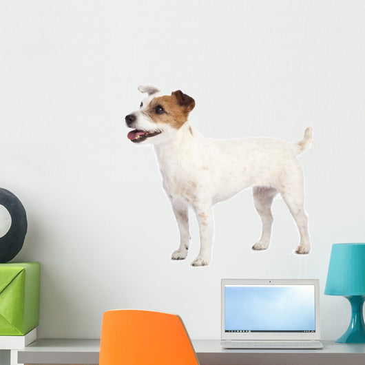 Jack Russell Terrier Standing Wall Decal