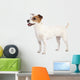 Jack Russell Terrier Standing Wall Decal