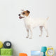 Jack Russell Terrier Standing Wall Decal