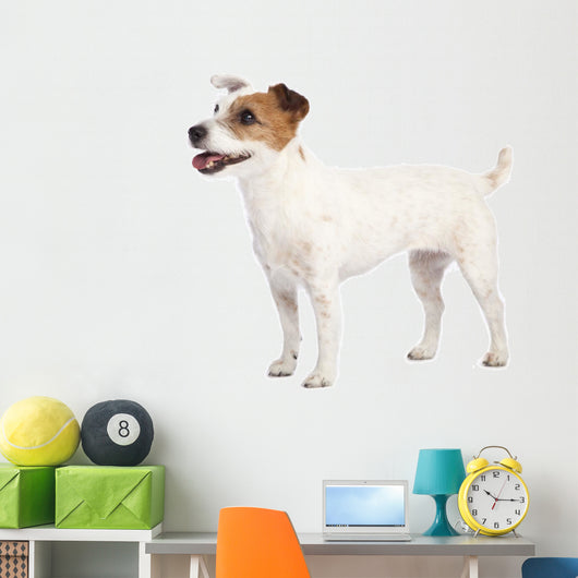 Jack Russell Terrier Standing Wall Decal
