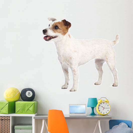 Jack Russell Terrier Standing Wall Decal