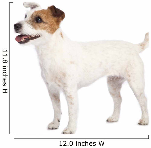 Jack Russell Terrier Standing Wall Decal