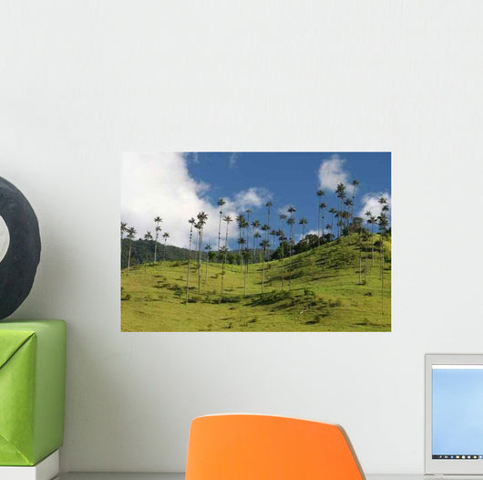Beauty Valle Cocor Wall Decal