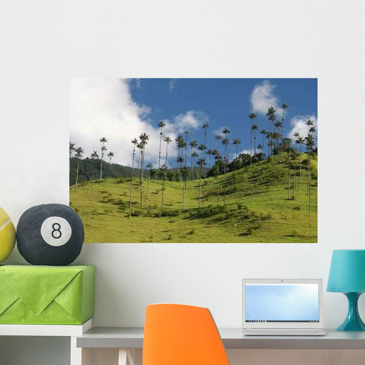 Beauty Valle Cocor Wall Decal