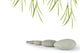 Zen Peace Wall Decal