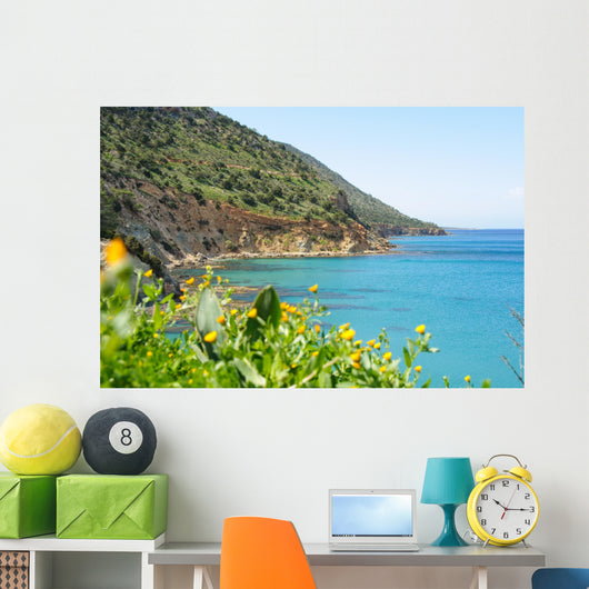 Sea cliffs panorama Wall Mural