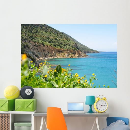 Sea cliffs panorama Wall Mural