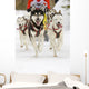 Sled Dogs Wall Mural