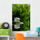 Stones Water Wall Decal