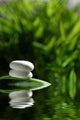 Stones Water Wall Decal
