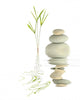Zen Garden Tranquility Wall Decal