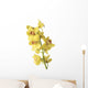 Yellow Orchids Wall Mural