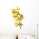 Yellow Orchids Wall Mural