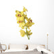 Yellow Orchids Wall Mural
