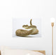 Rattlesnake Wall Decal
