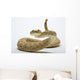 Rattlesnake Wall Decal