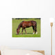 Pferd Auf Wiese Wall Decal