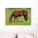 Pferd Auf Wiese Wall Decal