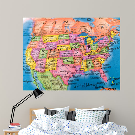 Global Studies - United States Wall Mural