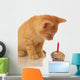 kitten celebrating birthday - kitten looking at cupcake Wall Decal