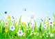 Spring Meadow Beautiful Wall Mural