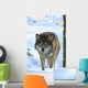 wolf Wall Mural