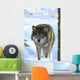 wolf Wall Mural